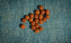 Read more about the article Original Rudraksha – History And Benefits