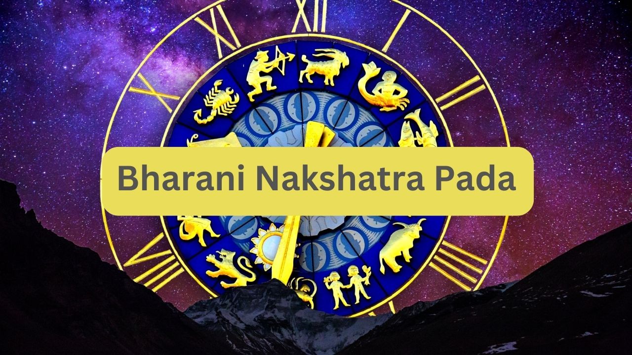 108 Nakshatra Padas In Tamil Astrology (Part I By Lavanya,, 49% OFF