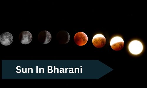 You are currently viewing Sun In Bharani Nakshatra – 7 Unknown Characters