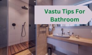 Read more about the article 13 Proven Vastu Tips For Bathroom