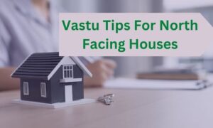 Read more about the article 9 Proven Vastu Tips For North Facing House
