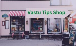 Read more about the article 18 Proven Vastu Tips For Shop