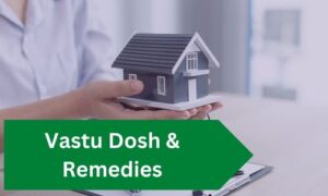 Read more about the article 7 Common Vastu Dosh And Powerful Remedies